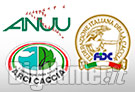 Anuu Fidc ArciCaccia